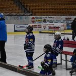 HC Tábor a Lokomotiva Veselí se radovaly na turnaji hokejových nadějí Teplárna cupu