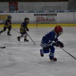 HC Tábor a Lokomotiva Veselí se radovaly na turnaji hokejových nadějí Teplárna cupu
