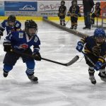 HC Tábor a Lokomotiva Veselí se radovaly na turnaji hokejových nadějí Teplárna cupu