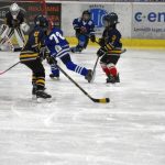 HC Tábor a Lokomotiva Veselí se radovaly na turnaji hokejových nadějí Teplárna cupu