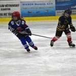 HC Tábor a Lokomotiva Veselí se radovaly na turnaji hokejových nadějí Teplárna cupu