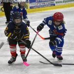 HC Tábor a Lokomotiva Veselí se radovaly na turnaji hokejových nadějí Teplárna cupu
