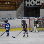 HC Tábor a Lokomotiva Veselí se radovaly na turnaji hokejových nadějí Teplárna cupu
