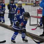 HC Tábor a Lokomotiva Veselí se radovaly na turnaji hokejových nadějí Teplárna cupu