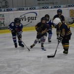 HC Tábor a Lokomotiva Veselí se radovaly na turnaji hokejových nadějí Teplárna cupu