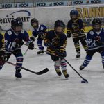 HC Tábor a Lokomotiva Veselí se radovaly na turnaji hokejových nadějí Teplárna cupu