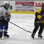 HC Tábor a Lokomotiva Veselí se radovaly na turnaji hokejových nadějí Teplárna cupu