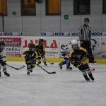 HC Tábor a Lokomotiva Veselí se radovaly na turnaji hokejových nadějí Teplárna cupu