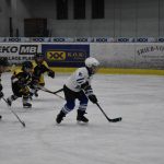 HC Tábor a Lokomotiva Veselí se radovaly na turnaji hokejových nadějí Teplárna cupu