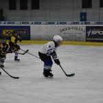 HC Tábor a Lokomotiva Veselí se radovaly na turnaji hokejových nadějí Teplárna cupu