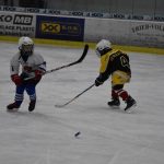 HC Tábor a Lokomotiva Veselí se radovaly na turnaji hokejových nadějí Teplárna cupu
