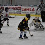 HC Tábor a Lokomotiva Veselí se radovaly na turnaji hokejových nadějí Teplárna cupu