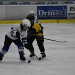 HC Tábor a Lokomotiva Veselí se radovaly na turnaji hokejových nadějí Teplárna cupu
