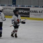 HC Tábor a Lokomotiva Veselí se radovaly na turnaji hokejových nadějí Teplárna cupu