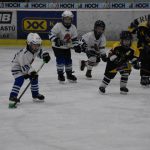 HC Tábor a Lokomotiva Veselí se radovaly na turnaji hokejových nadějí Teplárna cupu