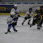 HC Tábor a Lokomotiva Veselí se radovaly na turnaji hokejových nadějí Teplárna cupu