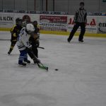 HC Tábor a Lokomotiva Veselí se radovaly na turnaji hokejových nadějí Teplárna cupu