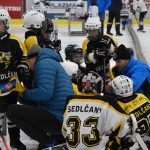 HC Tábor a Lokomotiva Veselí se radovaly na turnaji hokejových nadějí Teplárna cupu