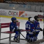 HC Tábor a Lokomotiva Veselí se radovaly na turnaji hokejových nadějí Teplárna cupu