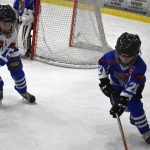 HC Tábor a Lokomotiva Veselí se radovaly na turnaji hokejových nadějí Teplárna cupu