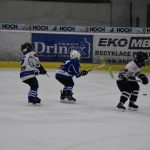 HC Tábor a Lokomotiva Veselí se radovaly na turnaji hokejových nadějí Teplárna cupu
