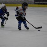HC Tábor a Lokomotiva Veselí se radovaly na turnaji hokejových nadějí Teplárna cupu