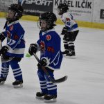 HC Tábor a Lokomotiva Veselí se radovaly na turnaji hokejových nadějí Teplárna cupu