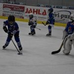 HC Tábor a Lokomotiva Veselí se radovaly na turnaji hokejových nadějí Teplárna cupu