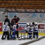 HC Tábor a Lokomotiva Veselí se radovaly na turnaji hokejových nadějí Teplárna cupu