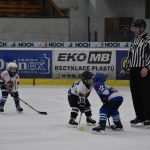 HC Tábor a Lokomotiva Veselí se radovaly na turnaji hokejových nadějí Teplárna cupu