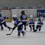 HC Tábor a Lokomotiva Veselí se radovaly na turnaji hokejových nadějí Teplárna cupu
