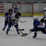HC Tábor a Lokomotiva Veselí se radovaly na turnaji hokejových nadějí Teplárna cupu