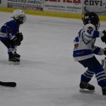 HC Tábor a Lokomotiva Veselí se radovaly na turnaji hokejových nadějí Teplárna cupu