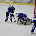 HC Tábor a Lokomotiva Veselí se radovaly na turnaji hokejových nadějí Teplárna cupu