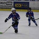 HC Tábor a Lokomotiva Veselí se radovaly na turnaji hokejových nadějí Teplárna cupu