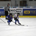 HC Tábor a Lokomotiva Veselí se radovaly na turnaji hokejových nadějí Teplárna cupu
