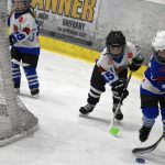 HC Tábor a Lokomotiva Veselí se radovaly na turnaji hokejových nadějí Teplárna cupu