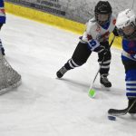 HC Tábor a Lokomotiva Veselí se radovaly na turnaji hokejových nadějí Teplárna cupu