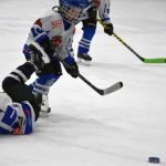 HC Tábor a Lokomotiva Veselí se radovaly na turnaji hokejových nadějí Teplárna cupu