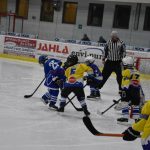 HC Tábor a Lokomotiva Veselí se radovaly na turnaji hokejových nadějí Teplárna cupu