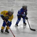 HC Tábor a Lokomotiva Veselí se radovaly na turnaji hokejových nadějí Teplárna cupu