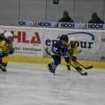HC Tábor a Lokomotiva Veselí se radovaly na turnaji hokejových nadějí Teplárna cupu
