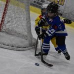 HC Tábor a Lokomotiva Veselí se radovaly na turnaji hokejových nadějí Teplárna cupu