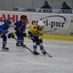 HC Tábor a Lokomotiva Veselí se radovaly na turnaji hokejových nadějí Teplárna cupu