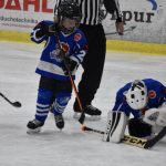 HC Tábor a Lokomotiva Veselí se radovaly na turnaji hokejových nadějí Teplárna cupu