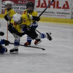HC Tábor a Lokomotiva Veselí se radovaly na turnaji hokejových nadějí Teplárna cupu