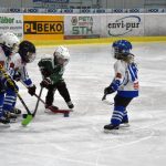 HC Tábor a Lokomotiva Veselí se radovaly na turnaji hokejových nadějí Teplárna cupu