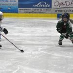 HC Tábor a Lokomotiva Veselí se radovaly na turnaji hokejových nadějí Teplárna cupu