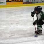 HC Tábor a Lokomotiva Veselí se radovaly na turnaji hokejových nadějí Teplárna cupu