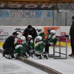 HC Tábor a Lokomotiva Veselí se radovaly na turnaji hokejových nadějí Teplárna cupu